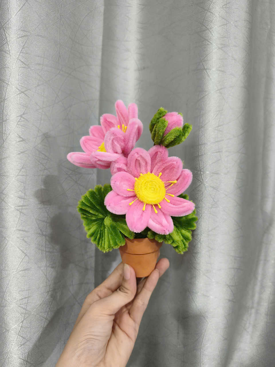 Hoa Sen Mini